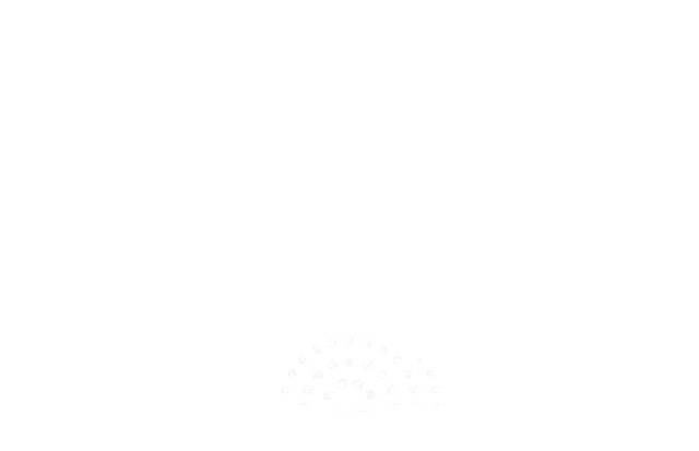 202510151632520299728